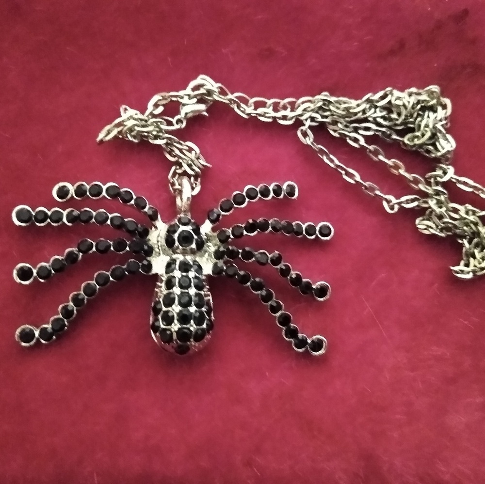 A Spider Inspired necklace